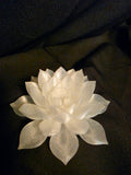 Lotus flower