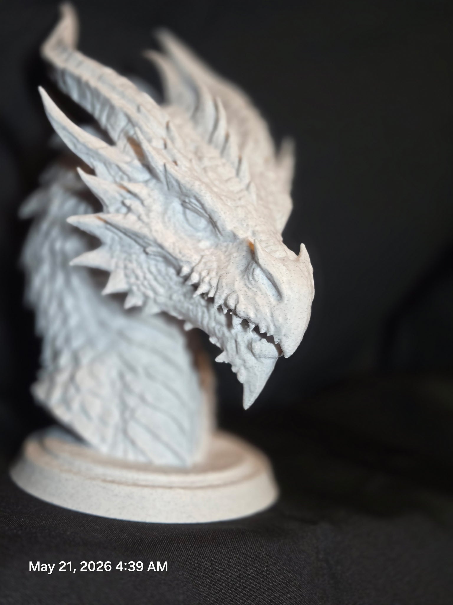 Medieval Dragon Bust Large