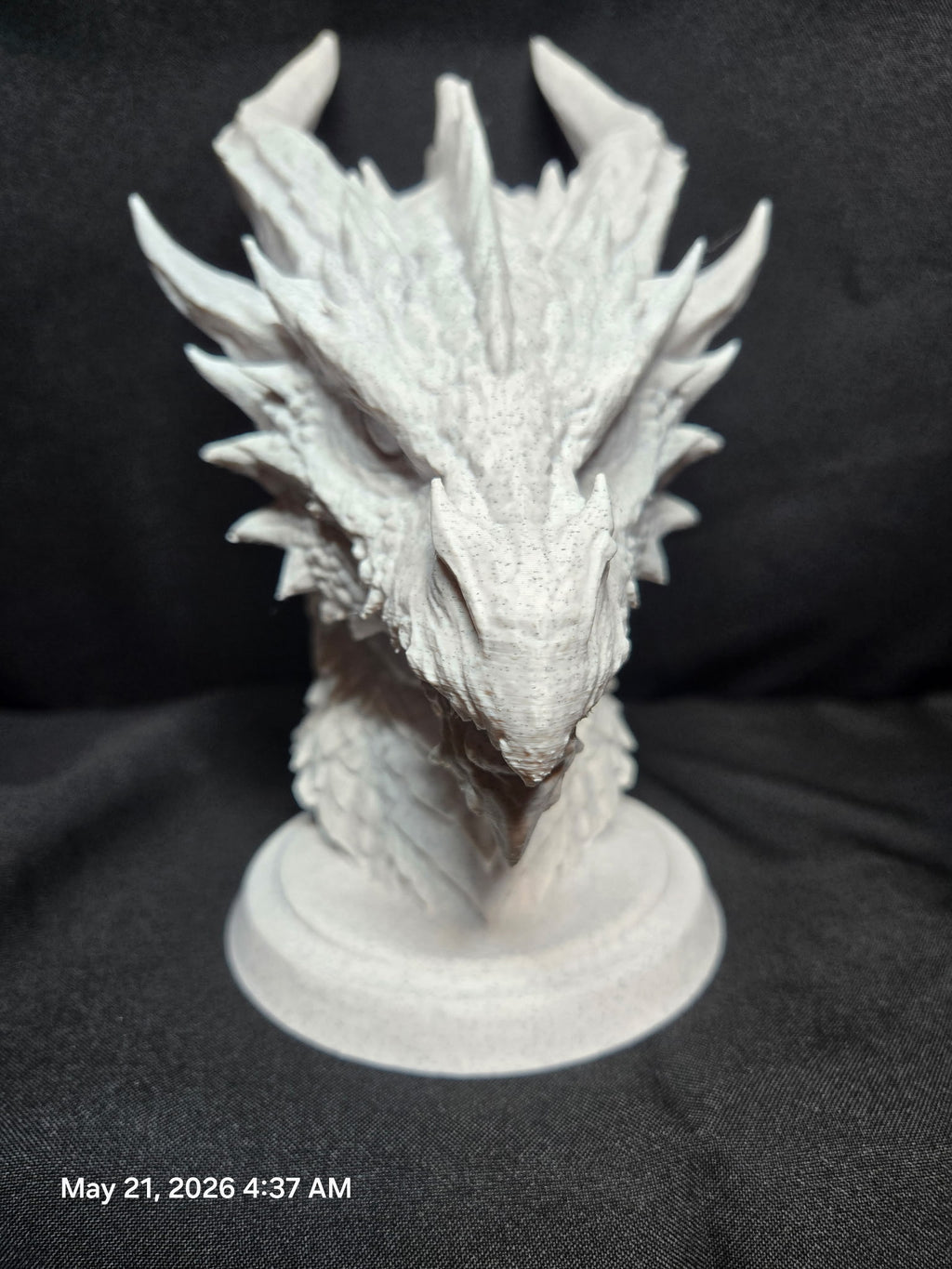 Medieval Dragon Bust Large