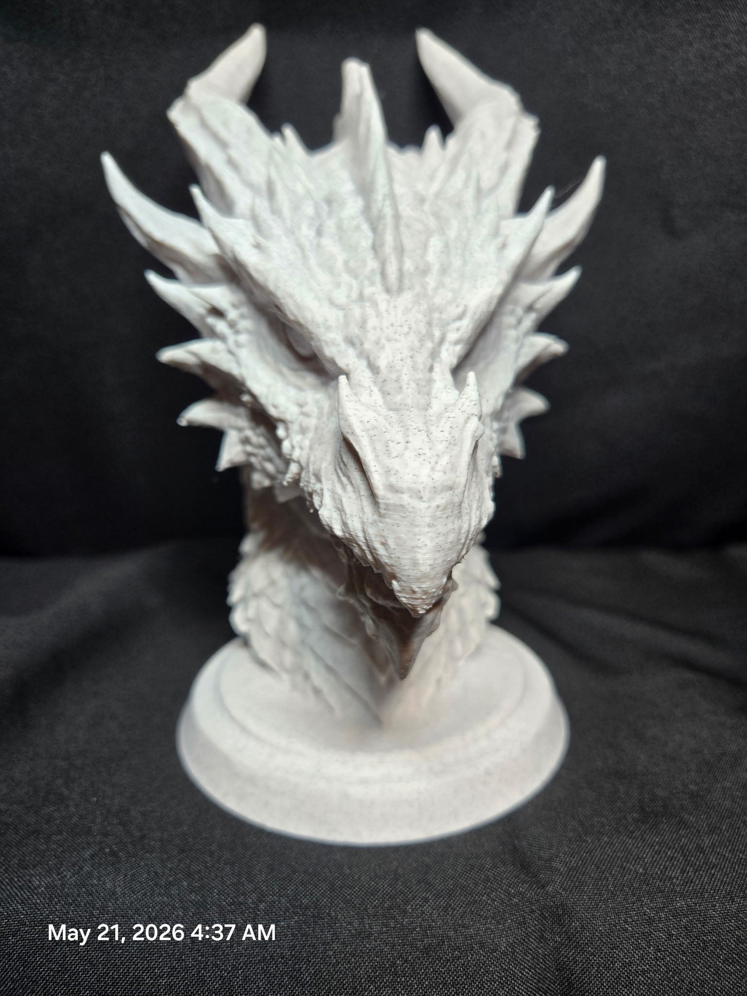 Medieval Dragon Bust Large